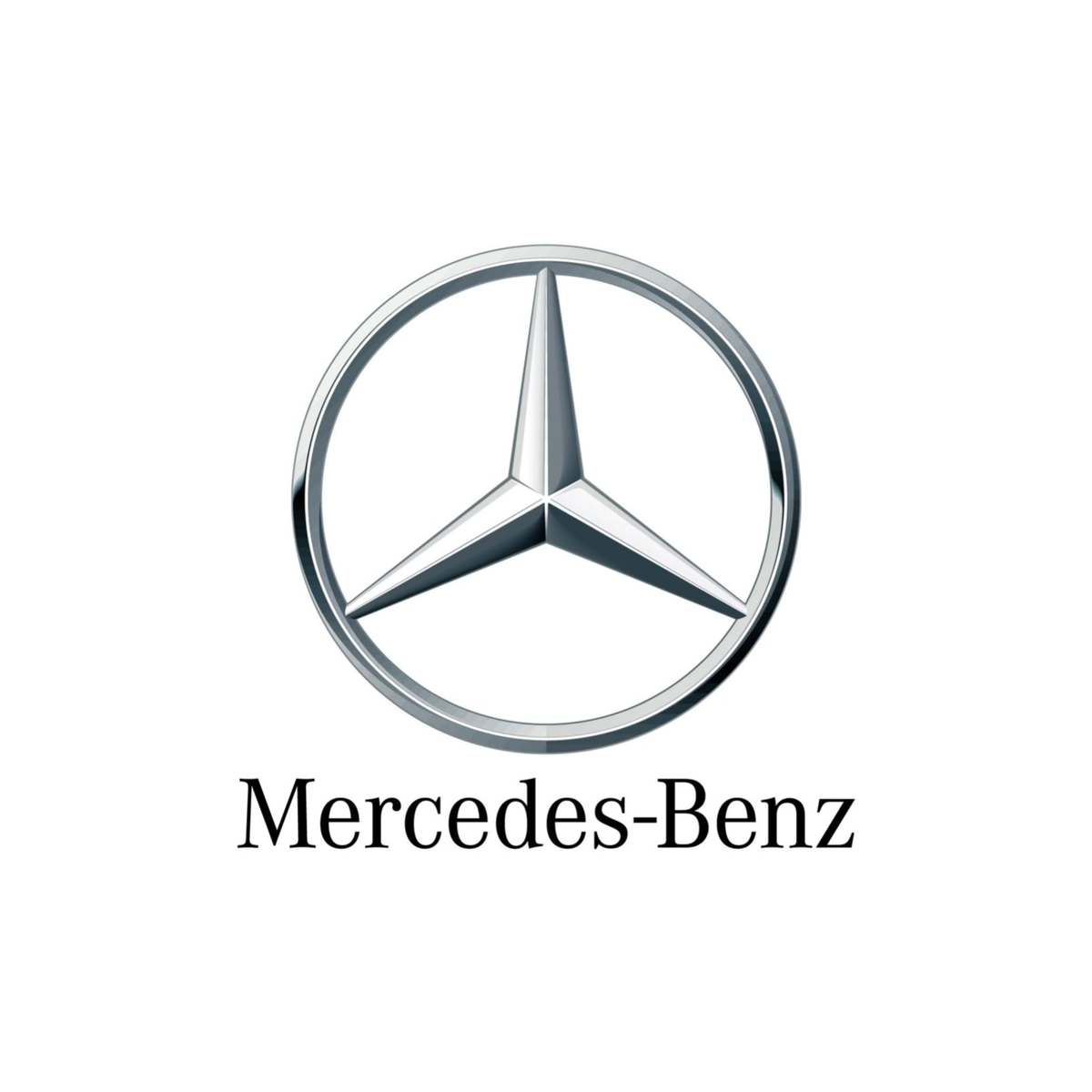 AI Embossed Logo Animation Maker input photo example
